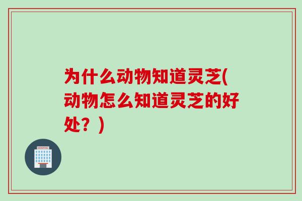 为什么动物知道灵芝(动物怎么知道灵芝的好处？)-第1张图片-灵芝之家