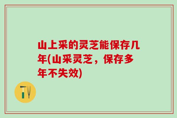 山上采的灵芝能保存几年(山采灵芝,保存多年不失效)-第1张图片-灵芝之家 山上采的灵芝能保存几年(山采灵芝,保存多年不失效)-第1张图片-灵芝之家