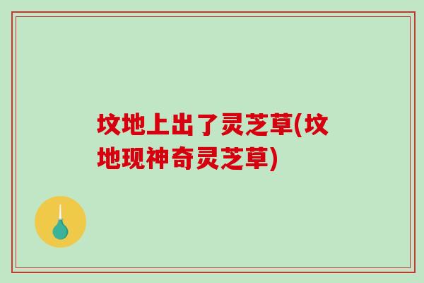 坟地上出了灵芝草(坟地现神奇灵芝草)-第1张图片-灵芝之家 坟地上出了灵芝草(坟地现神奇灵芝草)-第1张图片-灵芝之家