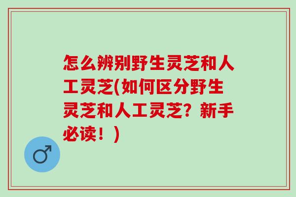 怎么辨别野生灵芝和人工灵芝(如何区分野生灵芝和人工灵芝？新手必读！)-第1张图片-灵芝之家