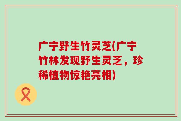 广宁野生竹灵芝(广宁竹林发现野生灵芝,珍稀植物惊艳亮相)-第1张图片-灵芝之家 广宁野生竹灵芝(广宁竹林发现野生灵芝,珍稀植物惊艳亮相)-第1张图片-灵芝之家