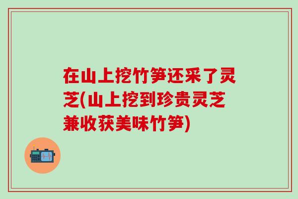 在山上挖竹笋还采了灵芝(山上挖到珍贵灵芝兼收获美味竹笋)-第1张图片-灵芝之家 在山上挖竹笋还采了灵芝(山上挖到珍贵灵芝兼收获美味竹笋)-第1张图片-灵芝之家