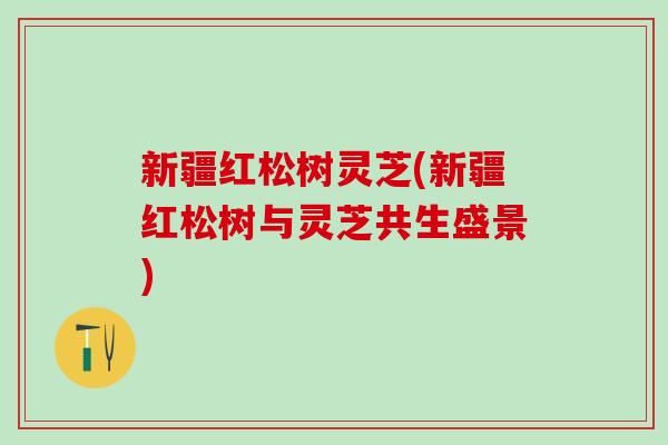 新疆红松树灵芝(新疆红松树与灵芝共生盛景)-第1张图片-灵芝之家 新疆红松树灵芝(新疆红松树与灵芝共生盛景)-第1张图片-灵芝之家