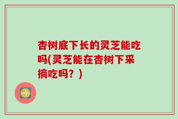 杏树底下长的灵芝能吃吗(灵芝能在杏树下采摘吃吗?)-第1张图片-灵芝之家 杏树底下长的灵芝能吃吗(灵芝能在杏树下采摘吃吗?)-第1张图片-灵芝之家