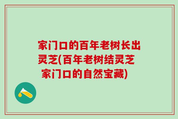 家门口的百年老树长出灵芝(百年老树结灵芝 家门口的自然宝藏)-第1张图片-灵芝之家 家门口的百年老树长出灵芝(百年老树结灵芝 家门口的自然宝藏)-第1张图片-灵芝之家