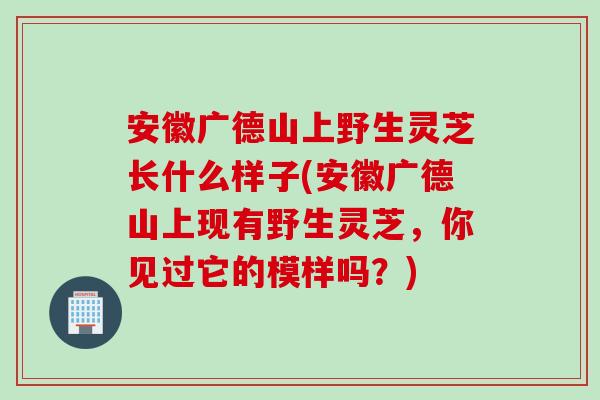 安徽广德山上野生灵芝长什么样子(安徽广德山上现有野生灵芝,你见过它的模样吗?)-第1张图片-灵芝之家 安徽广德山上野生灵芝长什么样子(安徽广德山上现有野生灵芝,你见过它的模样吗?)-第1张图片-灵芝之家