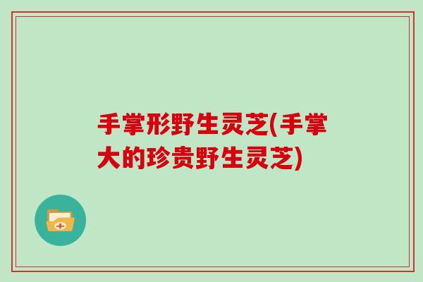 手掌形野生灵芝(手掌大的珍贵野生灵芝)-第1张图片-灵芝之家 手掌形野生灵芝(手掌大的珍贵野生灵芝)-第1张图片-灵芝之家