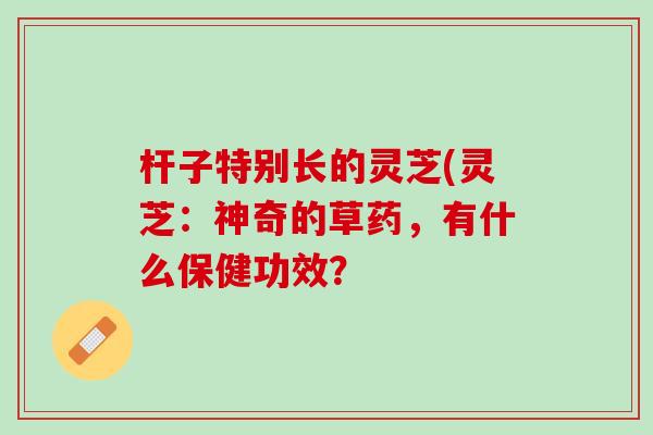 杆子特别长的灵芝(灵芝:神奇的草药,有什么保健功效?-第1张图片-灵芝之家 杆子特别长的灵芝(灵芝:神奇的草药,有什么保健功效?-第1张图片-灵芝之家
