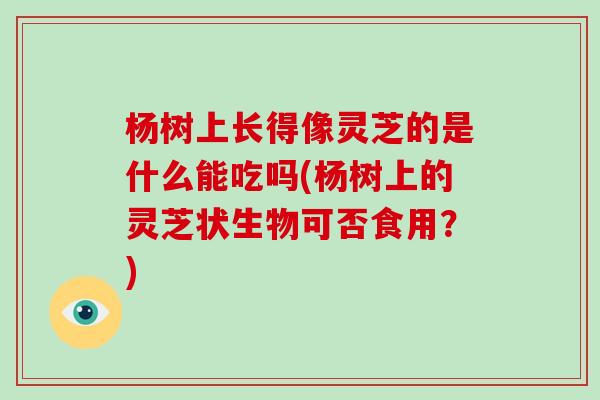 杨树上长得像灵芝的是什么能吃吗(杨树上的灵芝状生物可否食用？)-第1张图片-灵芝之家