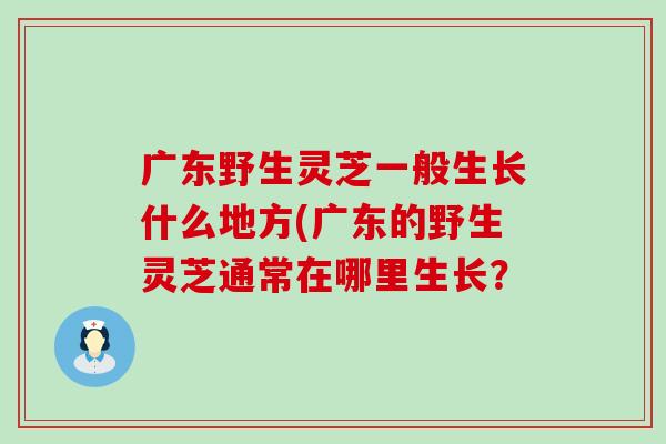 广东野生灵芝一般生长什么地方(广东的野生灵芝通常在哪里生长?-第1张图片-灵芝之家 广东野生灵芝一般生长什么地方(广东的野生灵芝通常在哪里生长?-第1张图片-灵芝之家