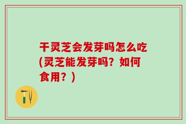 干灵芝会发芽吗怎么吃(灵芝能发芽吗？如何食用？)-第1张图片-灵芝之家