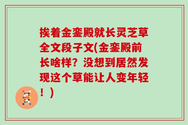 挨着金銮殿就长灵芝草全文段子文(金銮殿前长啥样？没想到居然发现这个草能让人变年轻！)-第1张图片-灵芝之家