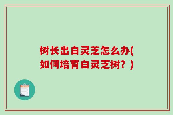 树长出白灵芝怎么办(如何培育白灵芝树?)-第1张图片-灵芝之家 树长出白灵芝怎么办(如何培育白灵芝树?)-第1张图片-灵芝之家