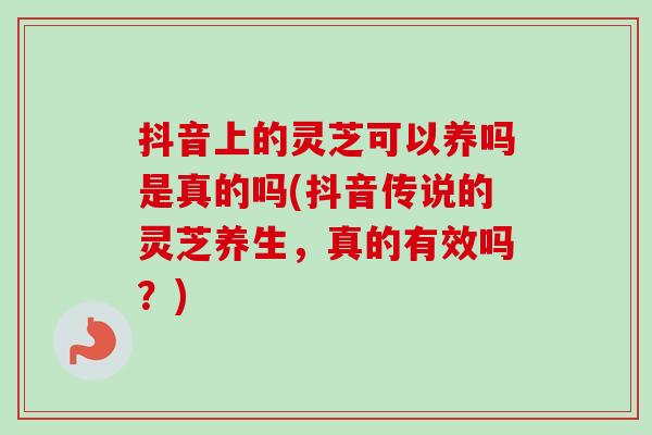 抖音上的灵芝可以养吗是真的吗(抖音传说的灵芝养生,真的有效吗?)-第1张图片-灵芝之家 抖音上的灵芝可以养吗是真的吗(抖音传说的灵芝养生,真的有效吗?)-第1张图片-灵芝之家
