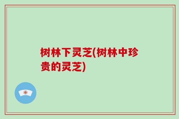 树林下灵芝(树林中珍贵的灵芝)-第1张图片-灵芝之家 树林下灵芝(树林中珍贵的灵芝)-第1张图片-灵芝之家