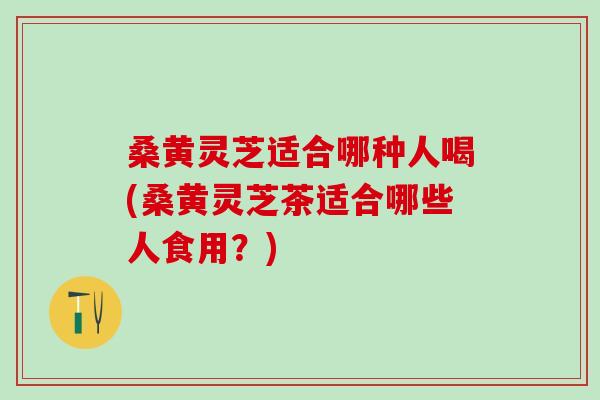 桑黄灵芝适合哪种人喝(桑黄灵芝茶适合哪些人食用？)-第1张图片-灵芝之家