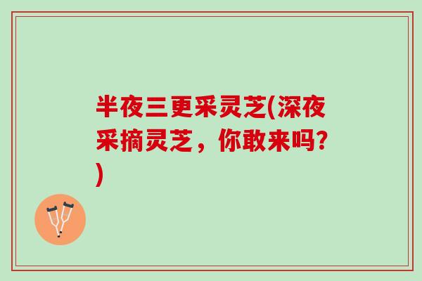 半夜三更采灵芝(深夜采摘灵芝，你敢来吗？)-第1张图片-灵芝之家
