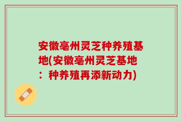 安徽亳州灵芝种养殖基地(安徽亳州灵芝基地:种养殖再添新动力)-第1张图片-灵芝之家 安徽亳州灵芝种养殖基地(安徽亳州灵芝基地:种养殖再添新动力)-第1张图片-灵芝之家