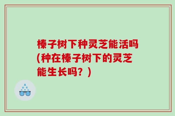 榛子树下种灵芝能活吗(种在榛子树下的灵芝能生长吗?)-第1张图片-灵芝之家 榛子树下种灵芝能活吗(种在榛子树下的灵芝能生长吗?)-第1张图片-灵芝之家