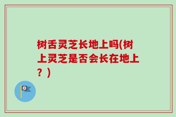 树舌灵芝长地上吗(树上灵芝是否会长在地上?)-第1张图片-灵芝之家 树舌灵芝长地上吗(树上灵芝是否会长在地上?)-第1张图片-灵芝之家