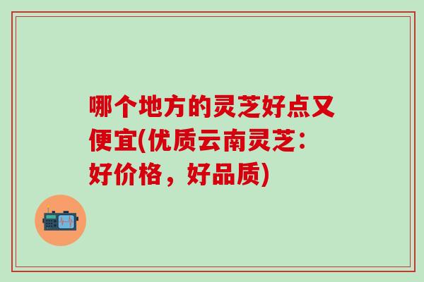哪个地方的灵芝好点又便宜(优质云南灵芝:好价格,好品质)-第1张图片-灵芝之家 哪个地方的灵芝好点又便宜(优质云南灵芝:好价格,好品质)-第1张图片-灵芝之家