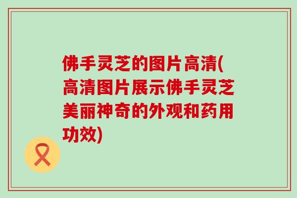 佛手灵芝的图片高清(高清图片展示佛手灵芝美丽神奇的外观和药用功效)-第1张图片-灵芝之家