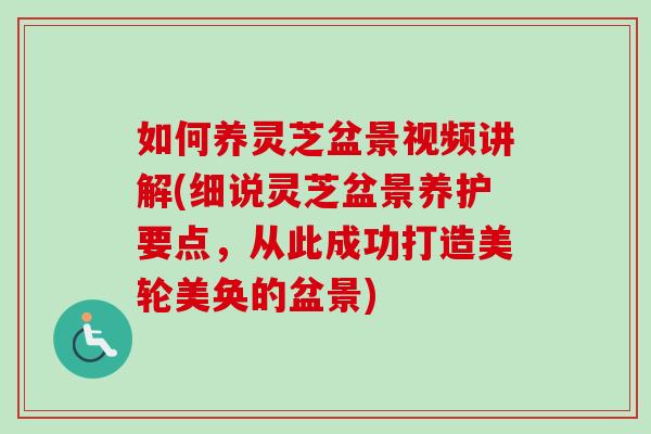 如何养灵芝盆景视频讲解(细说灵芝盆景养护要点,从此成功打造美轮美奂的盆景)-第1张图片-灵芝之家 如何养灵芝盆景视频讲解(细说灵芝盆景养护要点,从此成功打造美轮美奂的盆景)-第1张图片-灵芝之家