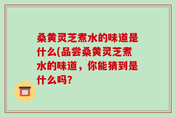 桑黄灵芝煮水的味道是什么(品尝桑黄灵芝煮水的味道,你能猜到是什么吗?-第1张图片-灵芝之家 桑黄灵芝煮水的味道是什么(品尝桑黄灵芝煮水的味道,你能猜到是什么吗?-第1张图片-灵芝之家