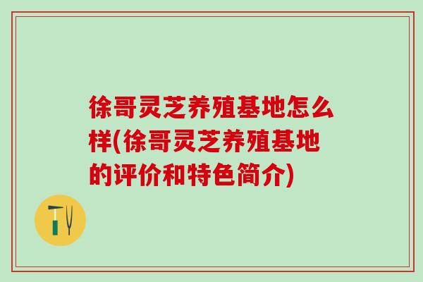 徐哥灵芝养殖基地怎么样(徐哥灵芝养殖基地的评价和特色简介)-第1张图片-灵芝之家 徐哥灵芝养殖基地怎么样(徐哥灵芝养殖基地的评价和特色简介)-第1张图片-灵芝之家