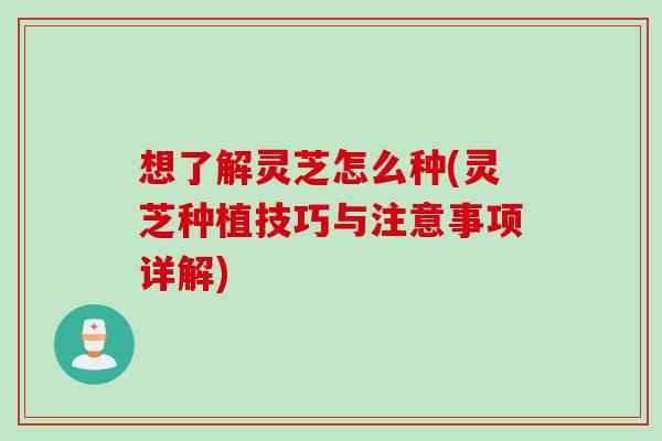 想了解灵芝怎么种(灵芝种植技巧与注意事项详解)-第1张图片-灵芝之家 想了解灵芝怎么种(灵芝种植技巧与注意事项详解)-第1张图片-灵芝之家