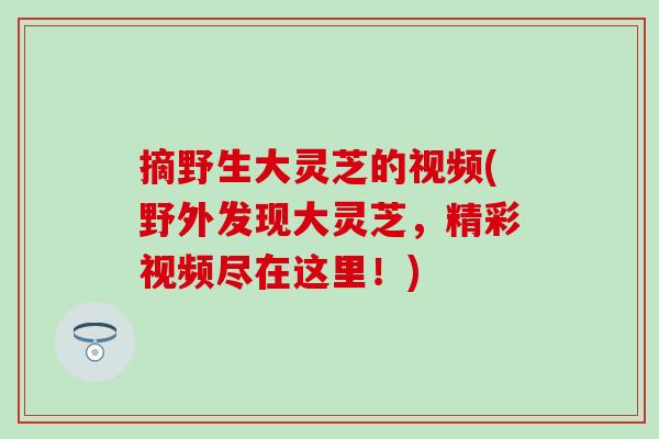 摘野生大灵芝的视频(野外发现大灵芝,精彩视频尽在这里!)-第1张图片-灵芝之家 摘野生大灵芝的视频(野外发现大灵芝,精彩视频尽在这里!)-第1张图片-灵芝之家