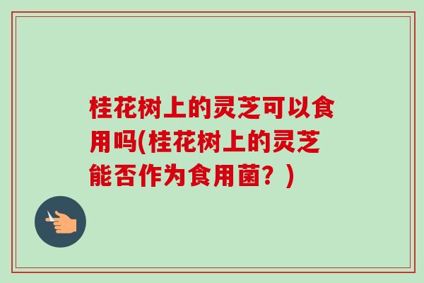 桂花树上的灵芝可以食用吗(桂花树上的灵芝能否作为食用菌?)-第1张图片-灵芝之家 桂花树上的灵芝可以食用吗(桂花树上的灵芝能否作为食用菌?)-第1张图片-灵芝之家