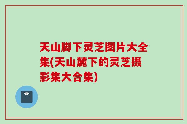 天山脚下灵芝图片大全集(天山麓下的灵芝摄影集大合集)-第1张图片-灵芝之家 天山脚下灵芝图片大全集(天山麓下的灵芝摄影集大合集)-第1张图片-灵芝之家