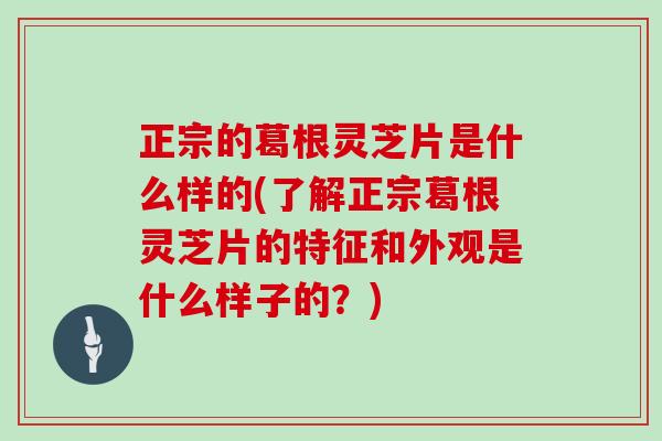 正宗的葛根灵芝片是什么样的(了解正宗葛根灵芝片的特征和外观是什么样子的？)-第1张图片-灵芝之家