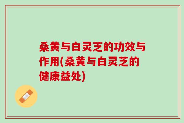 桑黄与白灵芝的功效与作用(桑黄与白灵芝的健康益处)-第1张图片-灵芝之家 桑黄与白灵芝的功效与作用(桑黄与白灵芝的健康益处)-第1张图片-灵芝之家