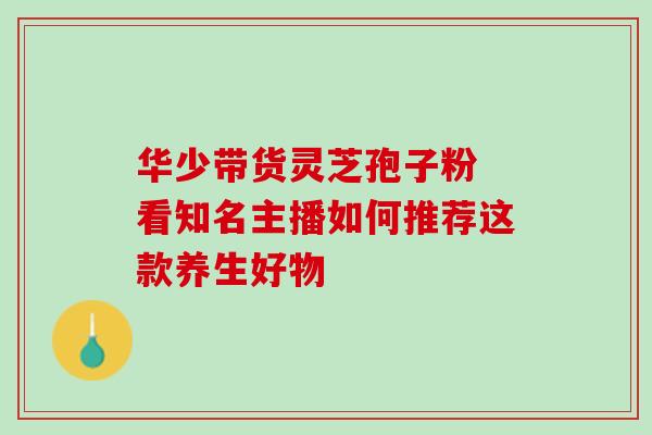 华少带货灵芝孢子粉 看知名主播如何推荐这款养生好物-第1张图片-灵芝之家 华少带货灵芝孢子粉 看知名主播如何推荐这款养生好物-第1张图片-灵芝之家