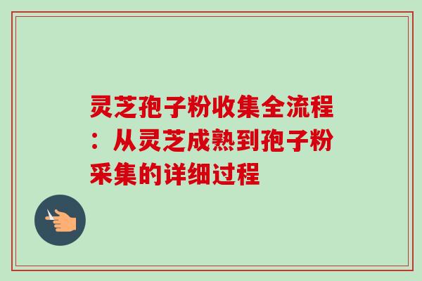 灵芝孢子粉收集全流程：从灵芝成熟到孢子粉采集的详细过程-第1张图片-灵芝之家