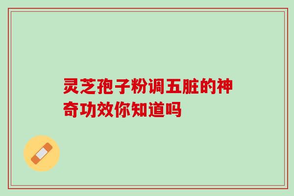 灵芝孢子粉调五脏的神奇功效你知道吗-第1张图片-灵芝之家 灵芝孢子粉调五脏的神奇功效你知道吗-第1张图片-灵芝之家
