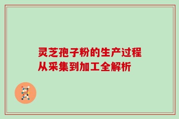 灵芝孢子粉的生产过程从采集到加工全解析-第1张图片-灵芝之家