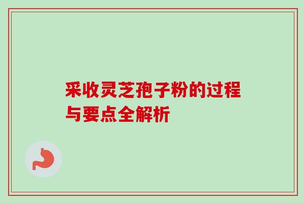 采收灵芝孢子粉的过程与要点全解析-第1张图片-灵芝之家 采收灵芝孢子粉的过程与要点全解析-第1张图片-灵芝之家