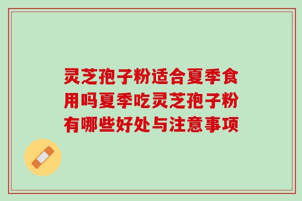 灵芝孢子粉适合夏季食用吗夏季吃灵芝孢子粉有哪些好处与注意事项-第1张图片-灵芝之家 灵芝孢子粉适合夏季食用吗夏季吃灵芝孢子粉有哪些好处与注意事项-第1张图片-灵芝之家