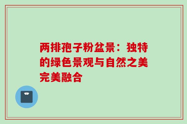 两排孢子粉盆景:独特的绿色景观与自然之美完美融合-第1张图片-灵芝之家 两排孢子粉盆景:独特的绿色景观与自然之美完美融合-第1张图片-灵芝之家