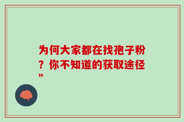 为何大家都在找孢子粉?你不知道的获取途径”-第1张图片-灵芝之家 为何大家都在找孢子粉?你不知道的获取途径”-第1张图片-灵芝之家
