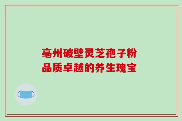 亳州破壁灵芝孢子粉 品质卓越的养生瑰宝-第1张图片-灵芝之家 亳州破壁灵芝孢子粉 品质卓越的养生瑰宝-第1张图片-灵芝之家