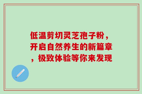 低温剪切灵芝孢子粉，开启自然养生的新篇章，极致体验等你来发现-第1张图片-灵芝之家