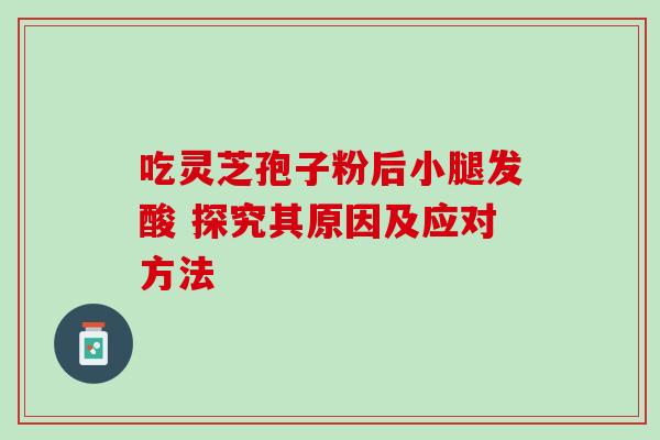 吃灵芝孢子粉后小腿发酸 探究其原因及应对方法-第1张图片-灵芝之家 吃灵芝孢子粉后小腿发酸 探究其原因及应对方法-第1张图片-灵芝之家