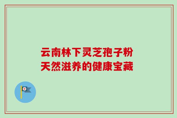 云南林下灵芝孢子粉 天然滋养的健康宝藏-第1张图片-灵芝之家 云南林下灵芝孢子粉 天然滋养的健康宝藏-第1张图片-灵芝之家