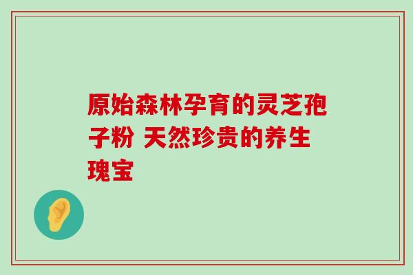 原始森林孕育的灵芝孢子粉 天然珍贵的养生瑰宝-第1张图片-灵芝之家 原始森林孕育的灵芝孢子粉 天然珍贵的养生瑰宝-第1张图片-灵芝之家