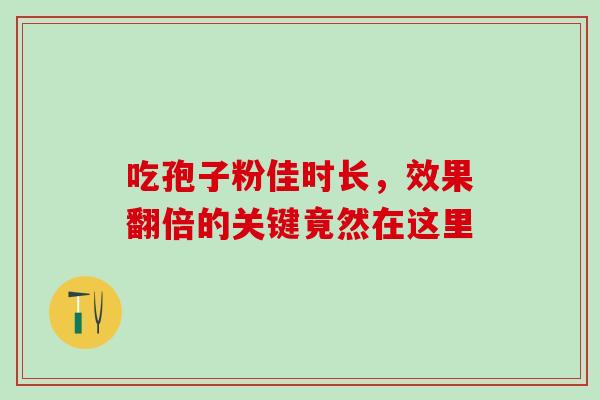 吃孢子粉佳时长,效果翻倍的关键竟然在这里-第1张图片-灵芝之家 吃孢子粉佳时长,效果翻倍的关键竟然在这里-第1张图片-灵芝之家