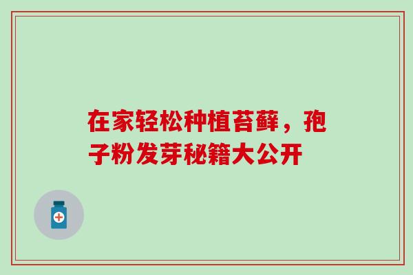 在家轻松种植苔藓,孢子粉发芽秘籍大公开-第1张图片-灵芝之家 在家轻松种植苔藓,孢子粉发芽秘籍大公开-第1张图片-灵芝之家